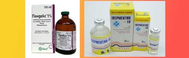 Nay Dobroto Lekarstvo Protiv Glisti 03 Ivermectin