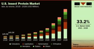 The Rise of the insect protein market: A Global Trend