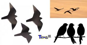 3-Black-Birds spiritial meaning