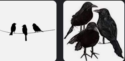 3 Black Birds. Spiritual Meaning 07