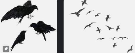 3 Black Birds. Spiritual Meaning 09