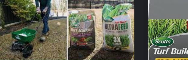 Scotts Turf Builder-05